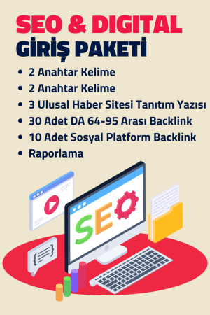 Giriş